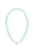 aqua SEASHELL necklace