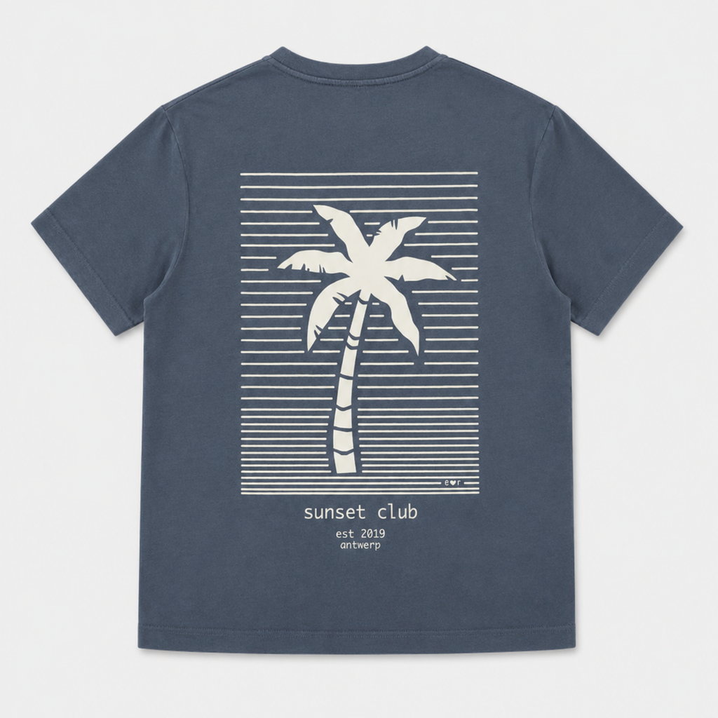 men washed grey PALMTREE t-shirt