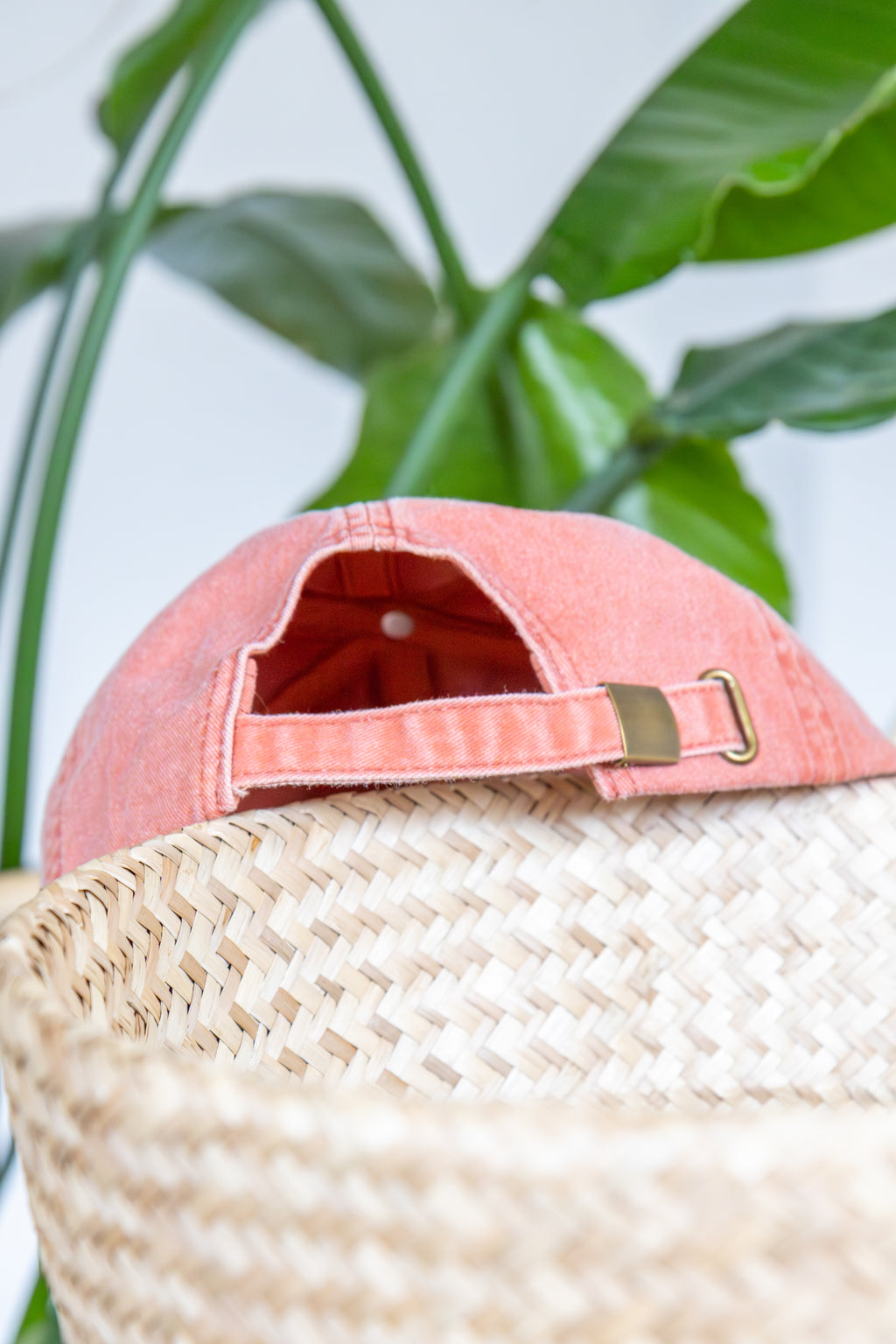 seashell CAP vintage brick