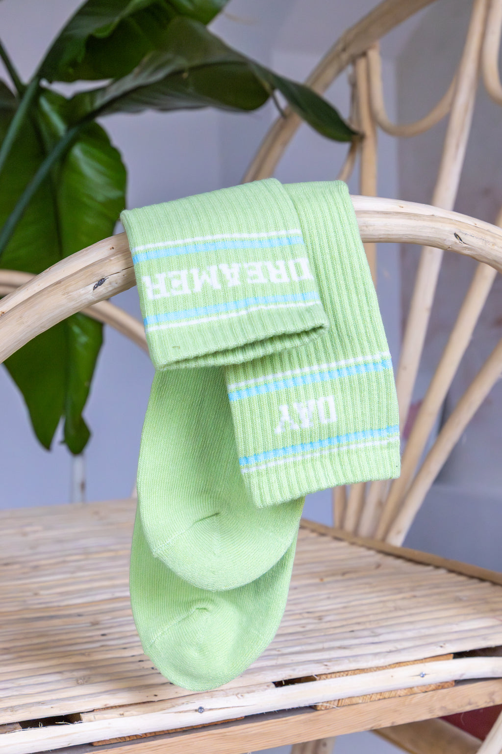 DAYDREAMER kids socks