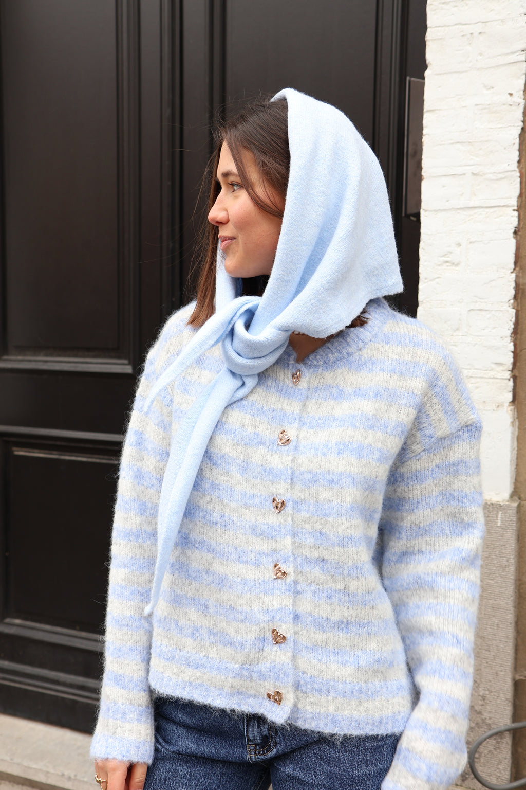 blue STRIPED cardigan
