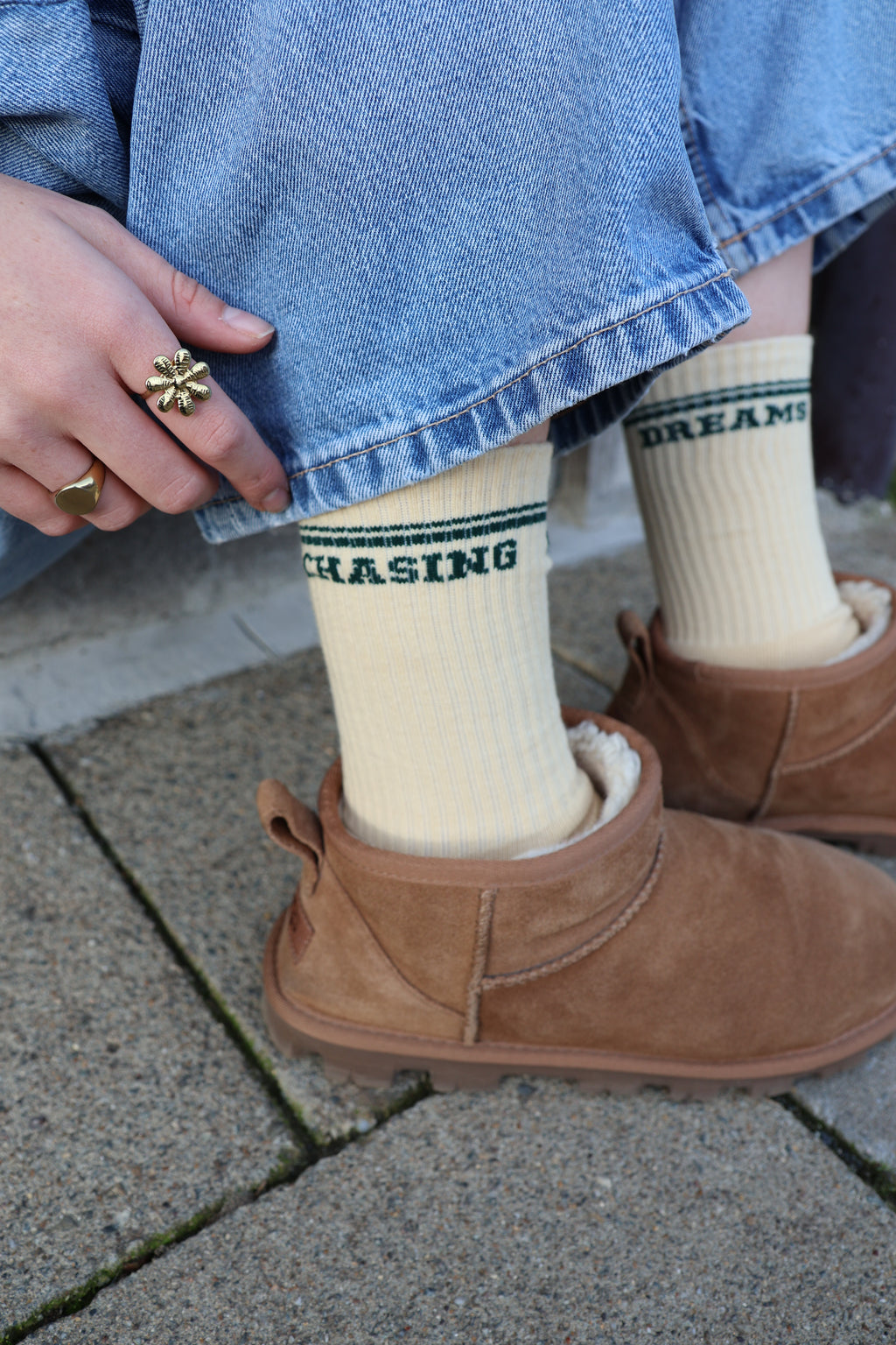 CHASING DREAMS socks