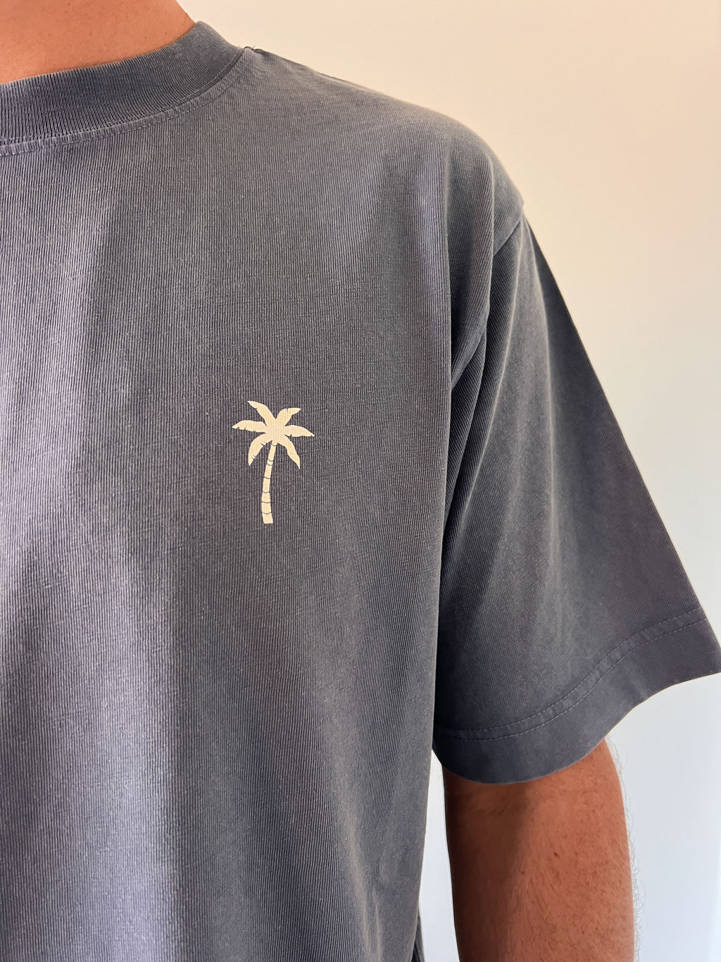 men washed grey PALMTREE t-shirt (loose fit)