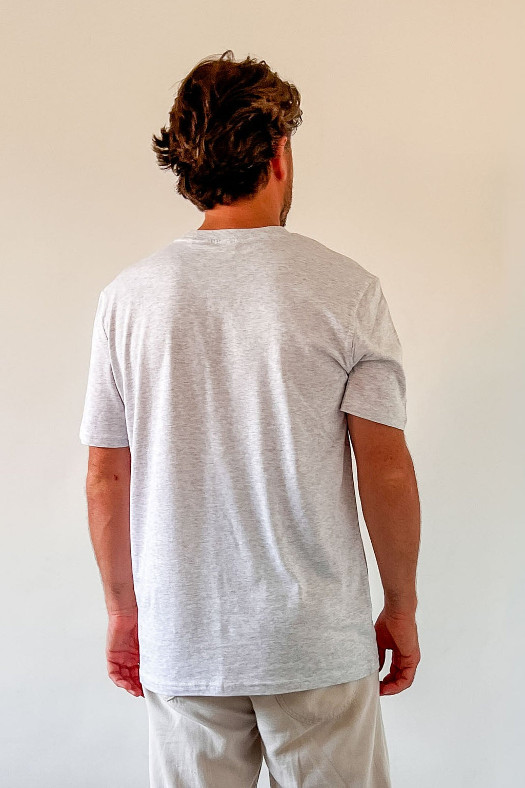 men t-shirt grey CLUB SOLEIL embroidery men