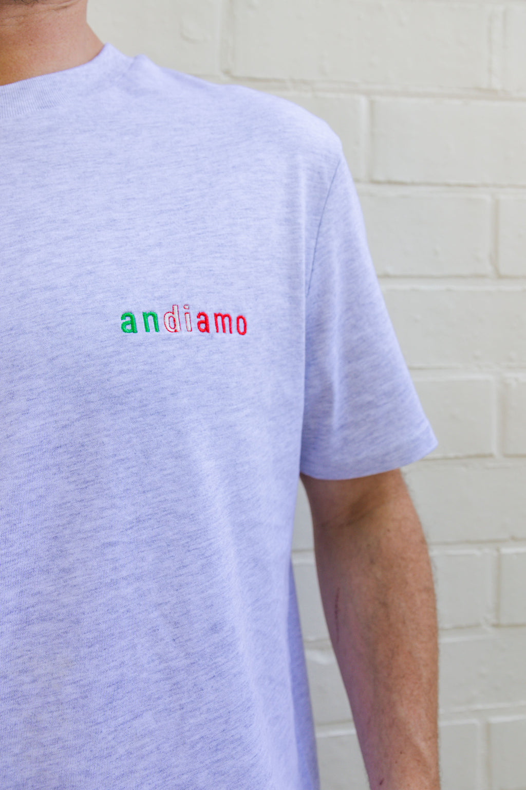 ash grey ANDIAMO t-shirt